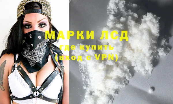 PSILOCYBIN Аркадак