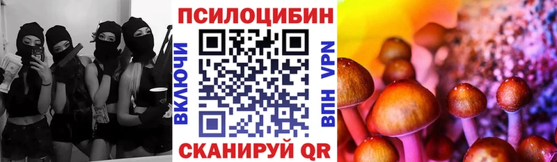 Галлюциногенные грибы MAGIC MUSHROOMS  мега ССЫЛКА  Прохладный 